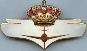 Нагрудный знак Пилот 