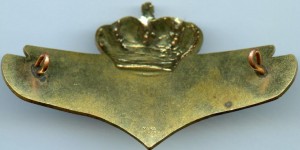 Нагрудный знак Пилот 