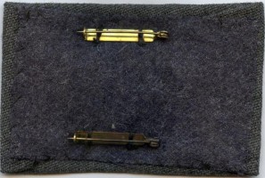 Badge Pilot 