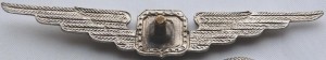Badge Pilot 2nd class 