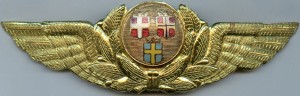 Badge SAS pilot 