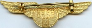 Badge SAS pilot 
