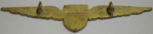 Badge Tasman Empire Airways Pilot 