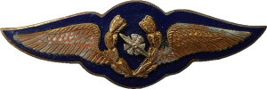 Badge Mechanician 