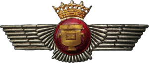 Нагрудный знак Аэрофотограф  