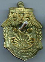 Нагрудный знак 18 дивизия АПЛ Северного Флота 