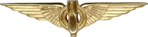 Нагрудный знак Штурман-бомбардир  