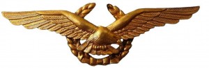 Badge Senior pilot 