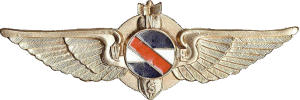 Нагрудный знак Штурман-бомбардир  