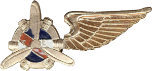 Нагрудный знак Авиатехник золотистый  