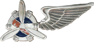 Badge Technician, silver 