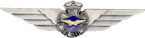 Нагрудный знак Член экипажа  