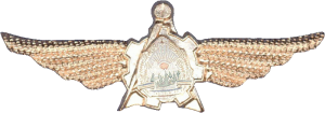 Нагрудный знак Авиаинженер  