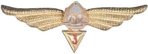 Badge Navigator 3rd class 