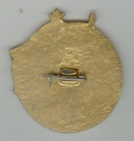 Нагрудный знак Ветеран 43 армии 