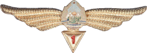 Badge Navigator 1st class 