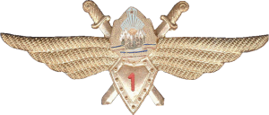 Badge Pilot 1st class 