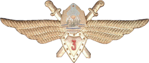 Нагрудный знак Пилот 3 класса  