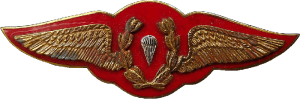 Badge  