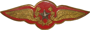Badge Pilot 