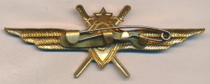 Нагрудный знак Летчик 3 класса 