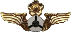 Нагрудный знак Авиатехник  