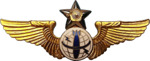 Badge Navigator-bombardier 