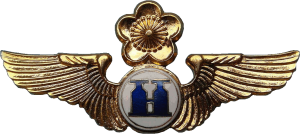 Нагрудный знак Воздушный наблюдатель  