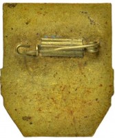 Нагрудный знак Дружинник 
