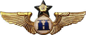 Нагрудный знак Воздушный наблюдатель  