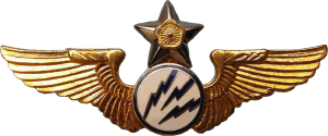 Badge Radioman 
