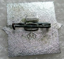 Нагрудный знак Чемпион области ДСО 