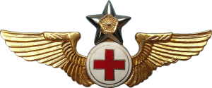 Badge Flight Nurse 