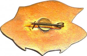 Badge  