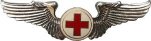 Badge Flight Nurse 