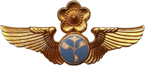 Badge Meteorologist 