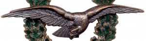Нагрудный знак Полевой пилот 