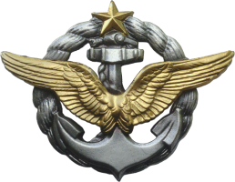 Badge Pilot 