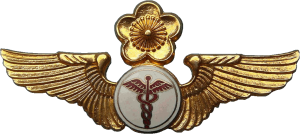 Нагрудный знак Авиационный врач  