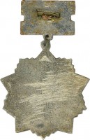 Нагрудный знак Ветеран 252/30 стрелковой дивизии 