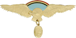 Badge Command pilot 