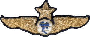 Badge Senior navigator 