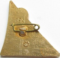 Нагрудный знак Космический корабль 