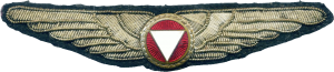Нагрудный знак Пилот  