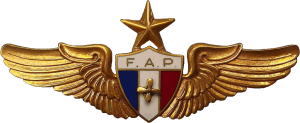 Badge Senior technician 