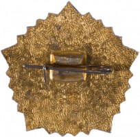 Нагрудный знак Отличник ГТО 