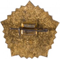 Нагрудный знак Отличник ГТО 