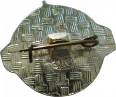 Нагрудный знак 30-ая выставка, Париж 1973, АН-26 