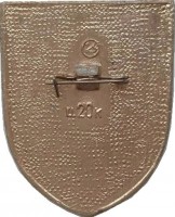 Нагрудный знак Совместный полет СССР Румыния 