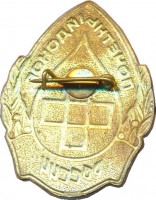 Нагрудный знак Почетный донор России  